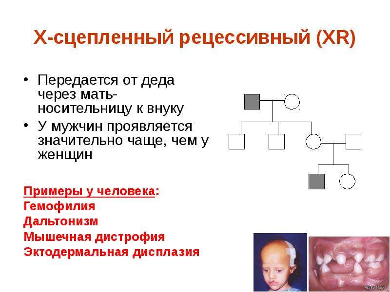 Тест генетика человека