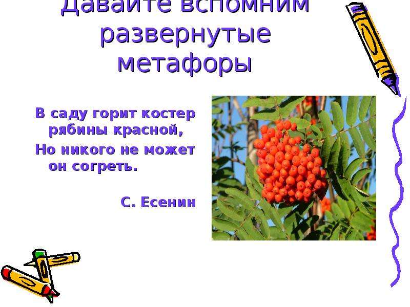 Зацветет рябина и кончится весна а когда рябина покраснеет схема