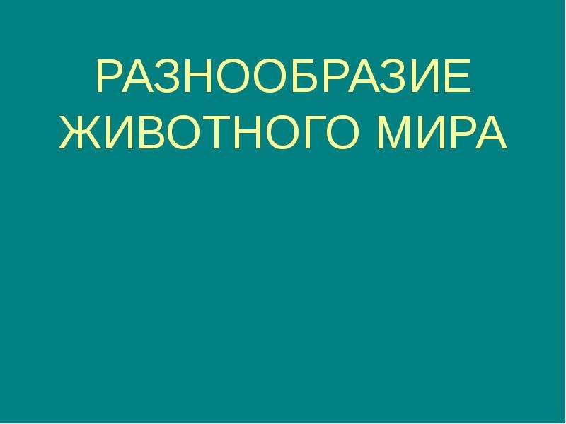 Как разнообразить презентацию