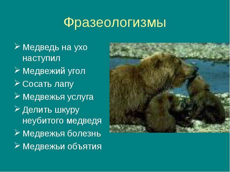 Ступать по медвежьи