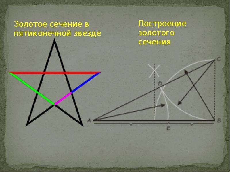 Золотое сечение в геометрии презентация