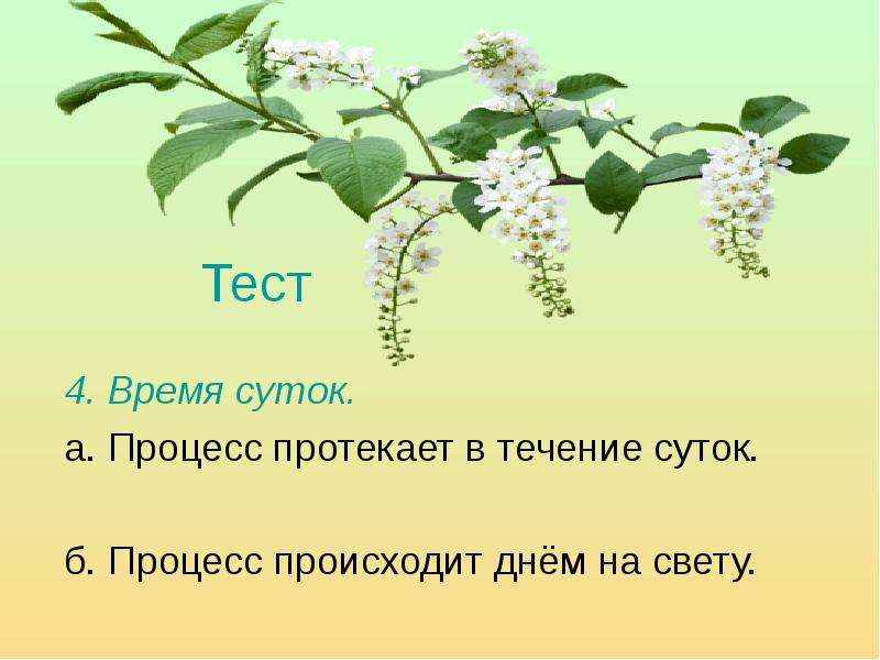 В какое время суток происходит дыхание растения. Дыхание время суток. В какое время суток происходит дыхание растений. В какое время суток протекает процесс дыхания. В какое время суток протекает это процесс.