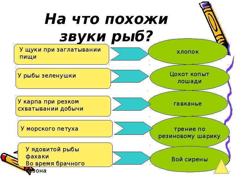 Звук рыбы. Звуки рыб. Как рыбы издают звуки. Рыбы общение звуками. Как делают рыбы звуки.