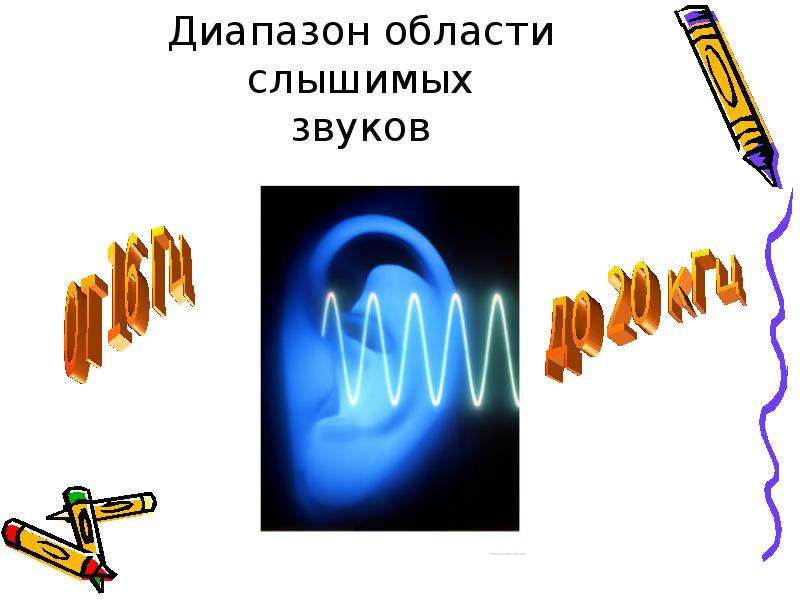 Значение звука. Мир звуков. Область слышимых человеком звуков.