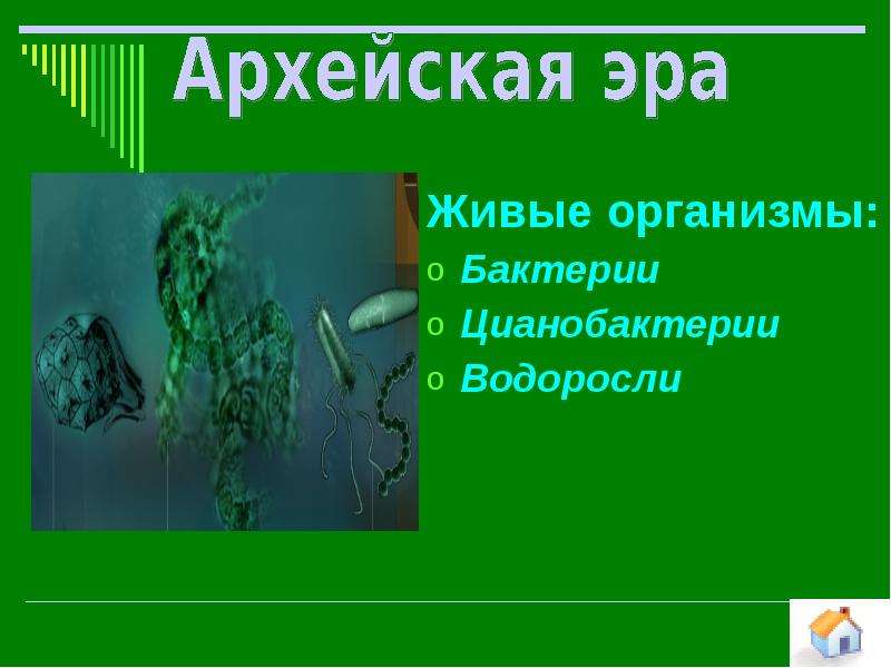 Презентация на тему катархей 9 класс биология