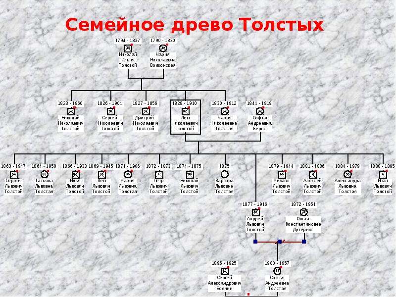 Род толстых. Семейное Древо Льва Толстого. Генеалогическое Древо л. н. Толстого. Генеалогическое Древо Льва Толстого. Лев Николаевич толстой родословная.