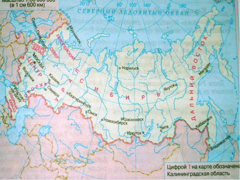 Географическое положение территории россии верно отражает схема