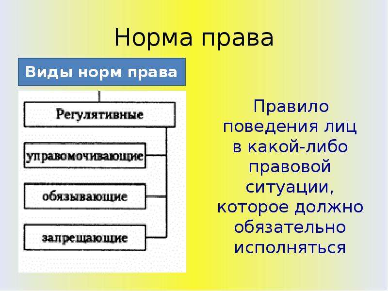 Перечислить нормы. Нормы права. Отрасли права презентация. Нормы права и отрасли права. Нормы отрасли права.