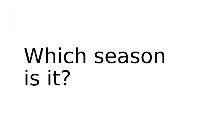 Which season is it?  Which season is it?  