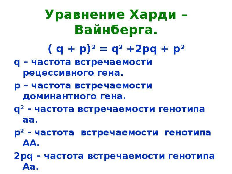 Закон харди вайнберга презентация