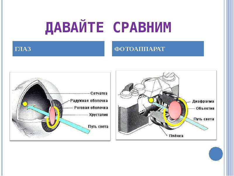 Свойства изображения фотоаппарата