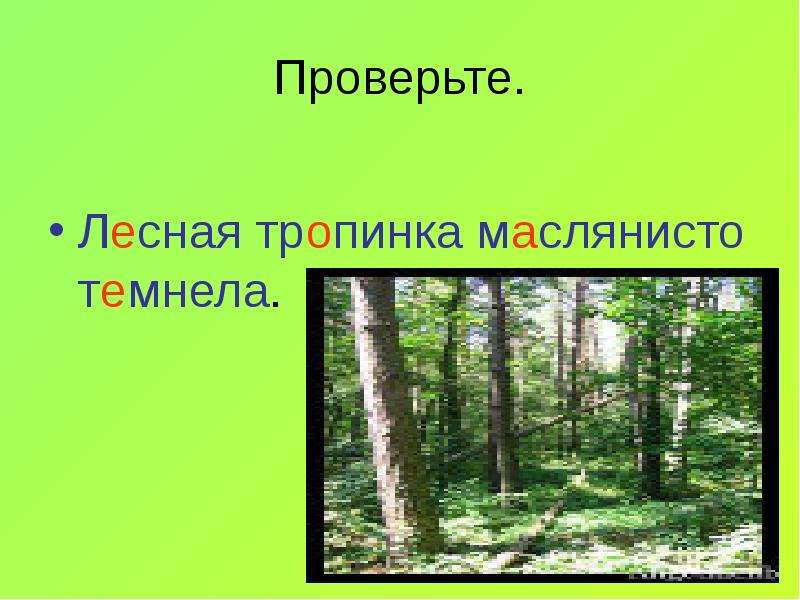 Тропинка правописание. Лесная тропинка маслянисто темнела. Лесная тропинка продолжить предложение. Продолжение предложения Лесная тропинка. Лесная тропинка продолжить предложение 3 класс.