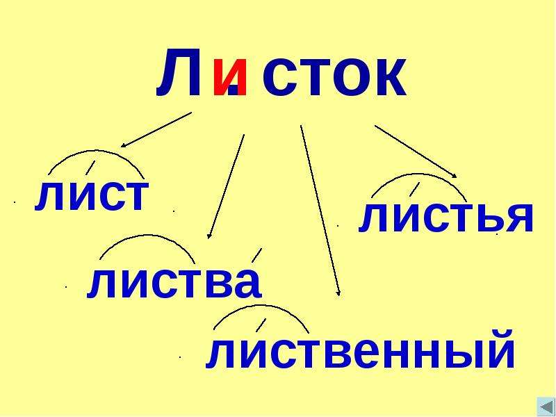 Листьев корень слова. Корень слова 2 класс. Слова с корнем лист. Работа корень слова. Корень слова 1 класс.