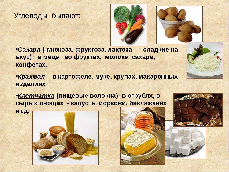 Какой продукт можно сделать для проекта по биологии