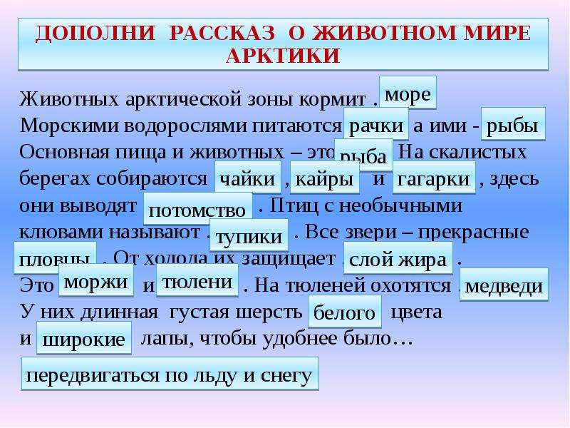 Арктика 4 класс окружающий. Арктика презентация 4 класс. Рассказ про Арктику. Сообщение о Арктике 4 класс. Арктика информация для 4 класса.