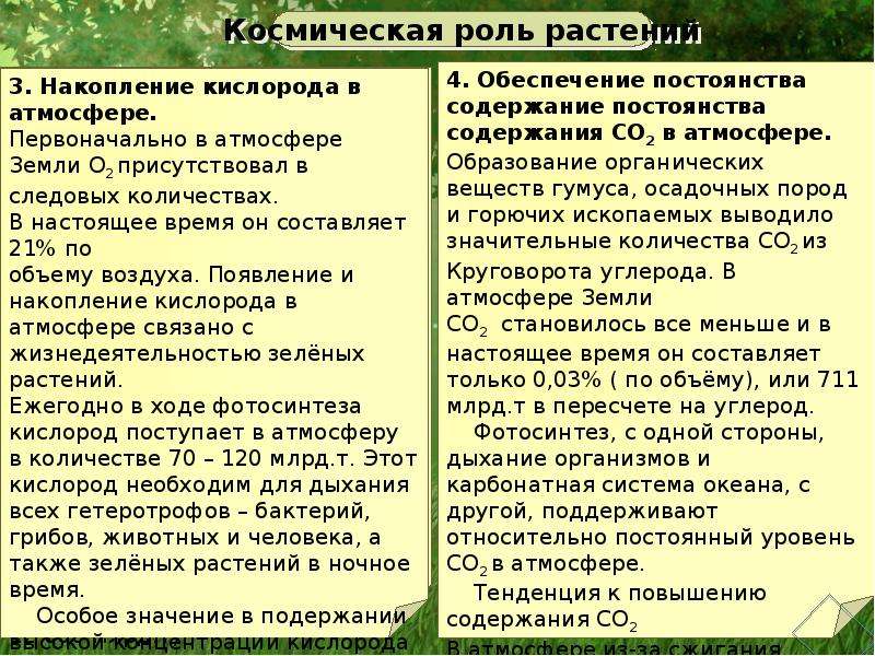 Прочитайте текст космическая роль зеленых растений. Космическая роль растений. Космичекская роль зелёных растений.