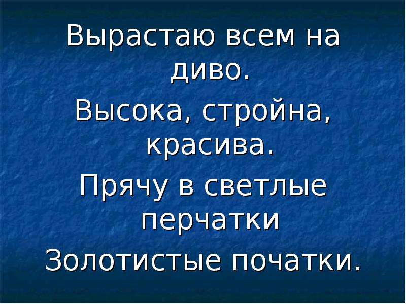 Хороша и красива всем на диво. Презентация на тему день здоровья.