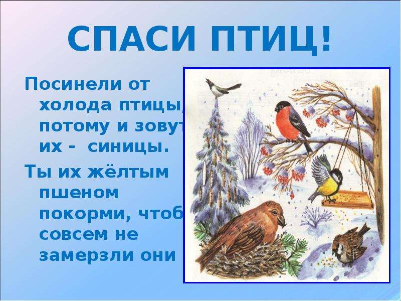 Каждую весну птицы спешат туда где впервые увидели синее небо и зеленую землю схема предложения