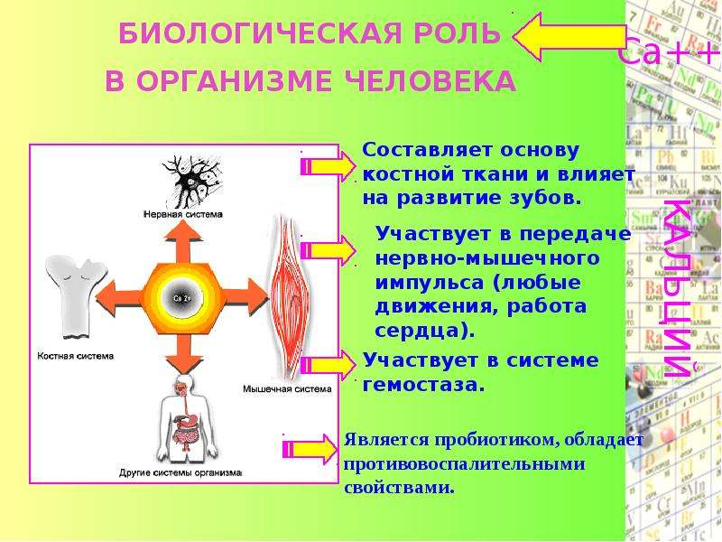 Презентация на тему металлы в жизни человека