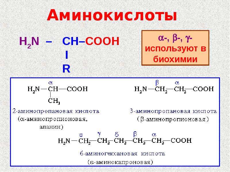 Строение и свойства аминокислот. Строение Амины кислоты. Химическое строение и свойства аминокислот. Амины формула строение\. Состав аминокислот химия.