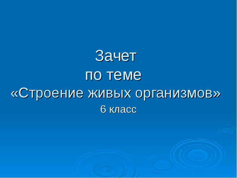 Презентация для зачета