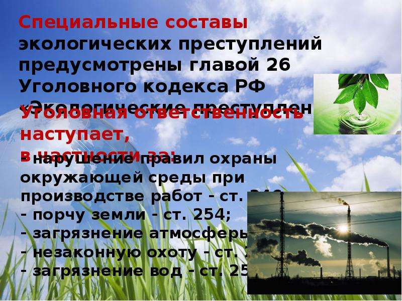 Презентация на тему уголовная ответственность за экологические преступления