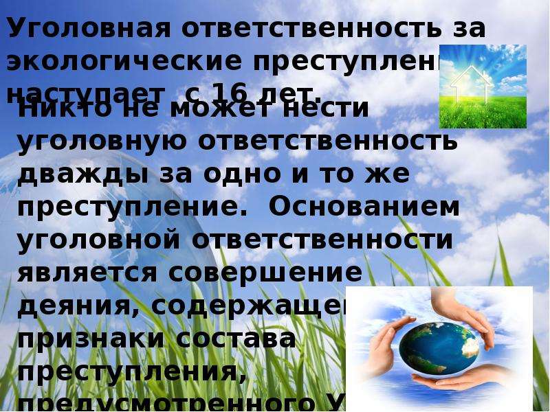 Уголовная экологическая ответственность. Уголовная ответственность за экологические правонарушения. Уголовно ответственные за экологические преступления. Виды уголовной ответственности за экологические преступления.