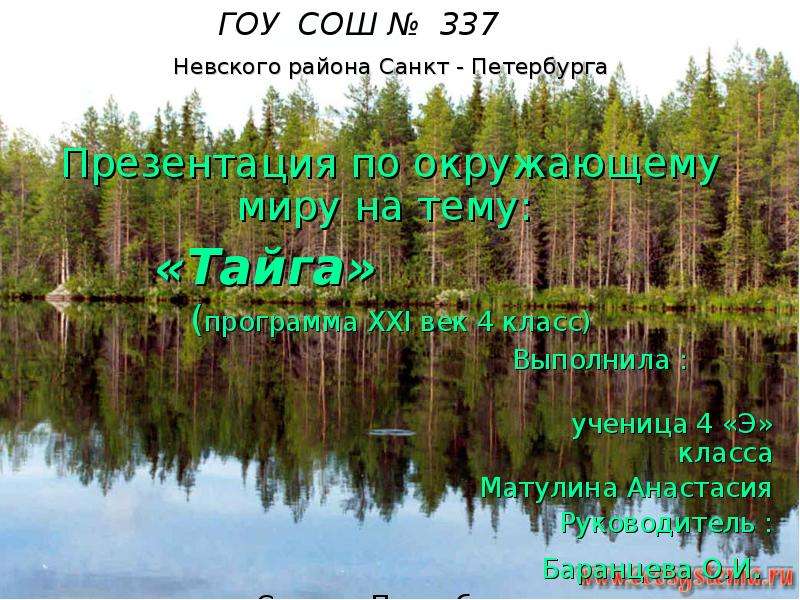 Тайга 4 класс окружающий мир. Презентацией к уроку Тайга 4 класс. Проект на тему Тайга 4 класс окружающий мир. Вывод презентация на тему Тайга. Урок Тайга 4 класс окружающий мир.