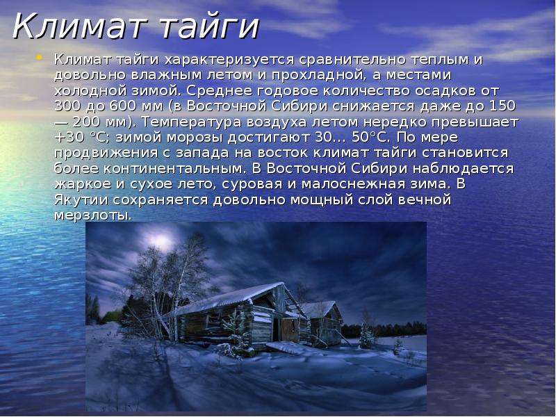 Пояс тайги в россии. Климат тайги зимой и летом. Климатические условия тайги. Название климата в тайге. Климат тайги в России.