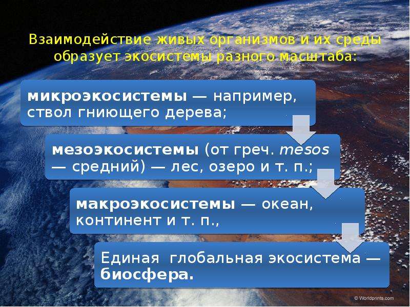 Как живые организмы взаимодействуют с атмосферой