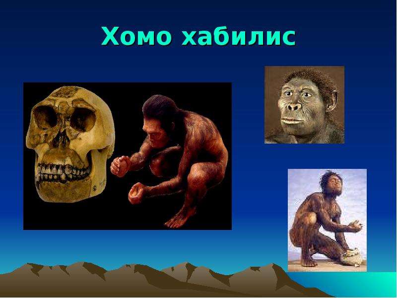 Homo habilis появился. Хомо хабилис эпоха. Хомо хабилис архантропы. Человек хомо хабилис. Хомо хабилис Возраст.