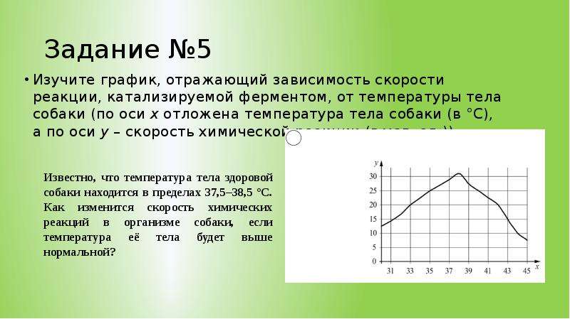 Объясните график по следующему плану что отражает график на отрезке от 0 до 1