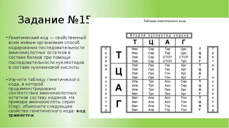 Презентация по биологии 10 класс генетический код