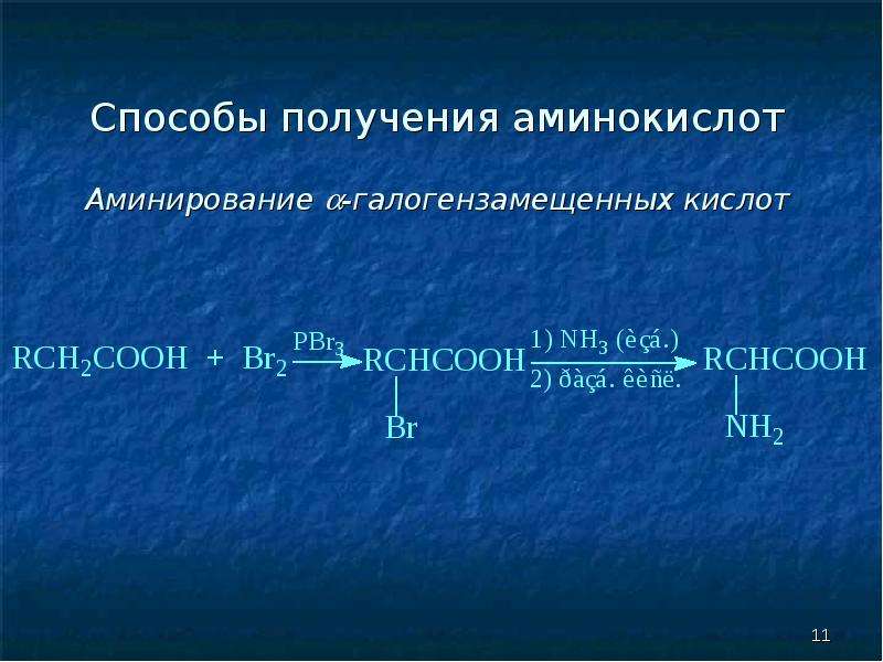 Получение аминов презентация