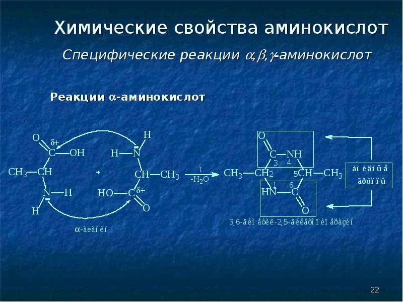 Химические реакции аминокислот. Специфические реакции аминокислот. Химические свойства аминокислот. Строение и свойства аминокислот.