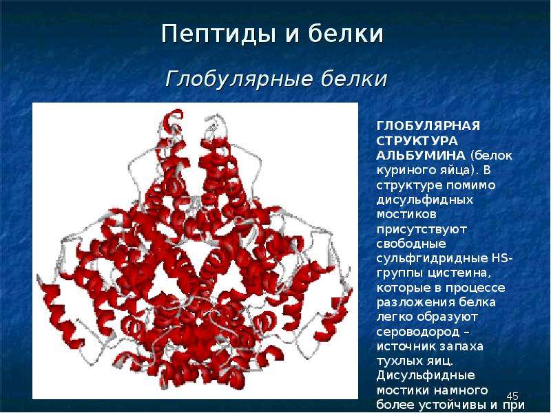 Белки и пептиды презентация