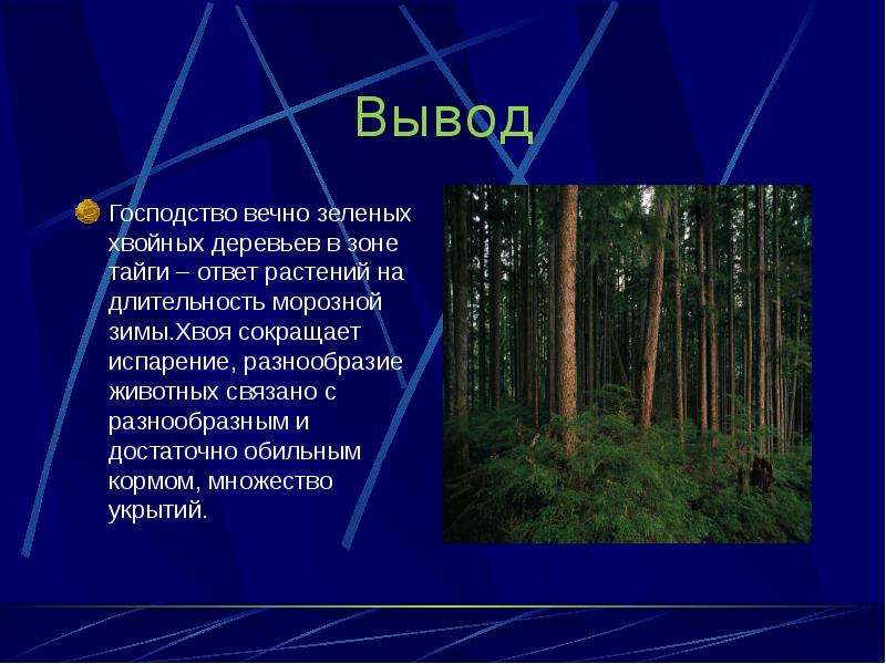 Тайга презентация 4 класс окружающий мир