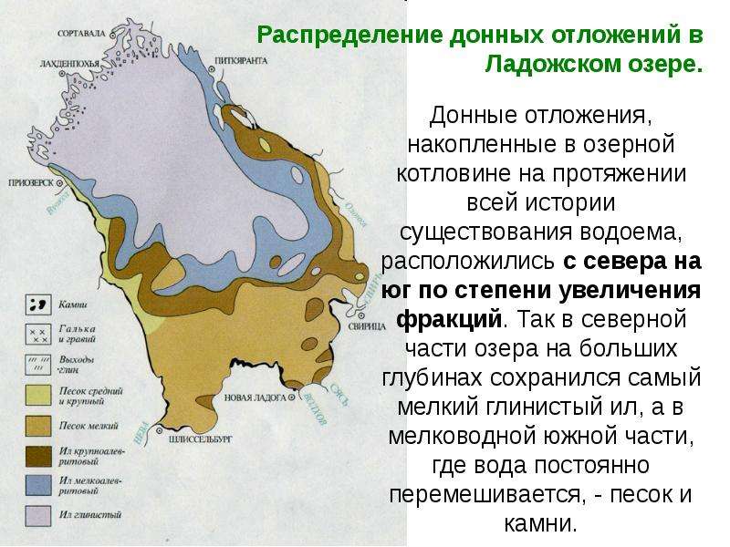 Донные отложения. Донные отложения Ладожского озера. Рельеф дна Ладожского озера. Рельеф дна Ладожского озера карта. Классификация донных отложений по происхождению.