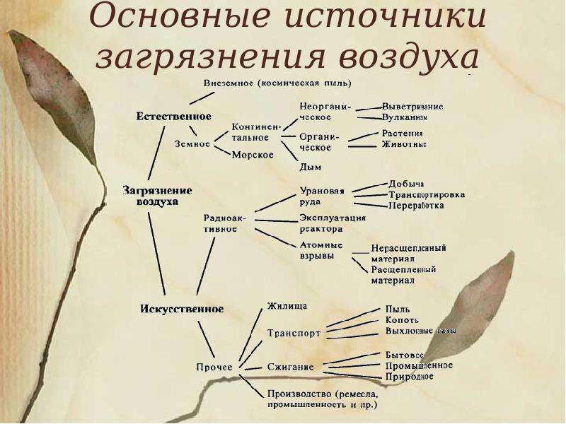 Последствия хозяйственной деятельности человека для окружающей среды презентация 11 класс