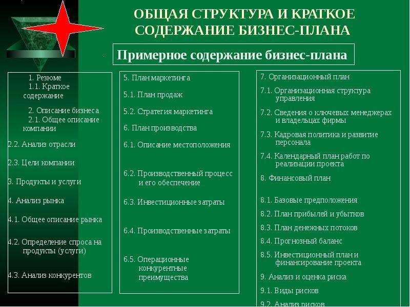 Общая структура и краткое содержание бизнес плана