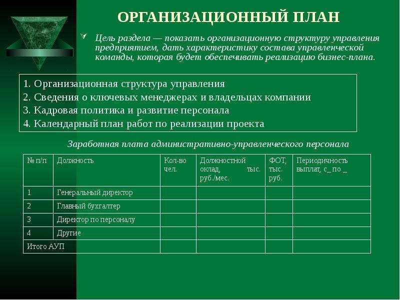 Структура организационного плана