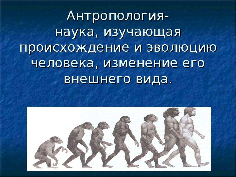 Антропология это наука. Наука изучающая происхождение и Эволюция человека. Развитие человека. Антропология наука о происхождении и эволюции человека. Как называется наука изучающая происхождение человека.