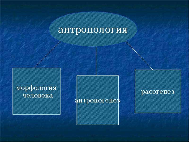 Общенациональные ценности казахского общества презентация