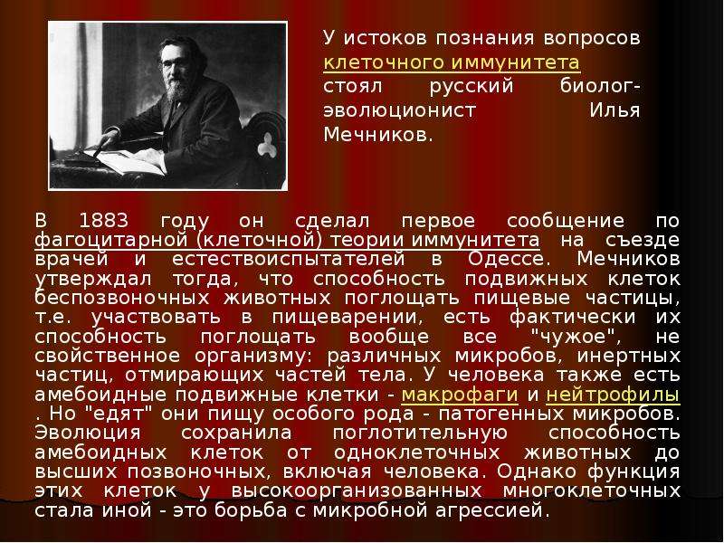 Мечников создал учение о фагоцитарном иммунитете. Клеточная теория иммунитета Мечникова. Учение Мечникова об иммунитете. Клеточный иммунитет Мечников. Теории иммунитета иммунология.