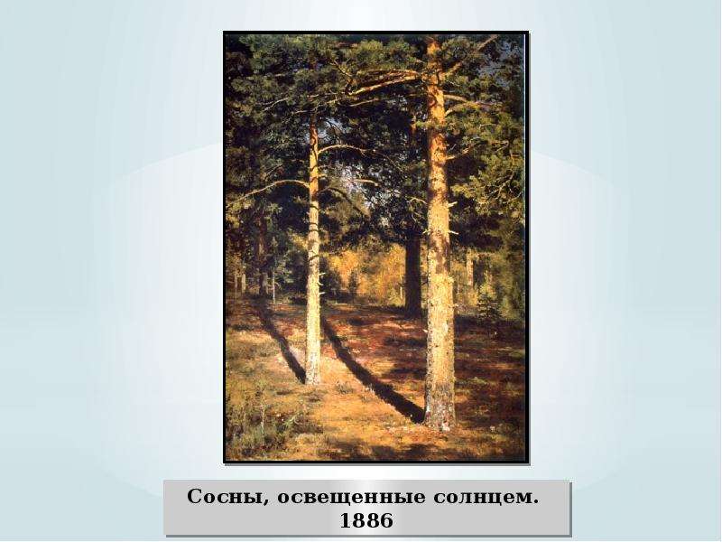 У старой сосны основная мысль. Шишкин сосны освещенные солнцем. Шишкин сосны освещенные солнцем картина. Картины Шишкина «сосны, освещенные солнцем» (1886.