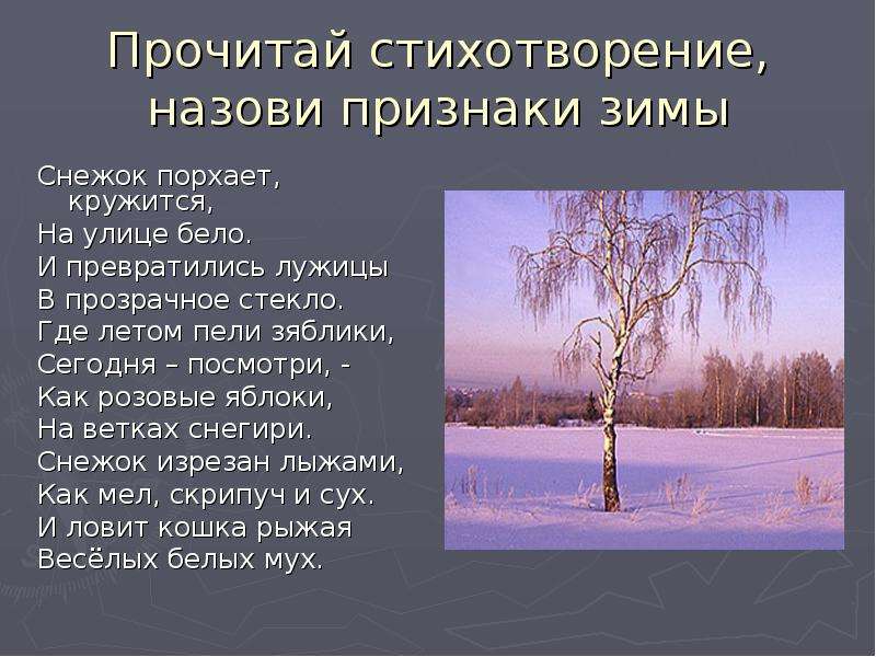 Снежок порхает кружится. Снежок порхает кружится на улице бело и превратились лужицы. Снежок порхает кружится стихотворение. Стихи про признаки зимы. Стихотворение снежок порхает кружится на улице бело.