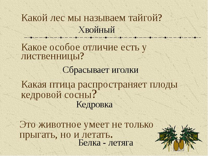 Лес какой. Какой лес называется тайгой. Какой лес мы называем тайгой. Какой лес мы называем тайгой 4 класс окружающий мир. Почему лес называют тайгой.