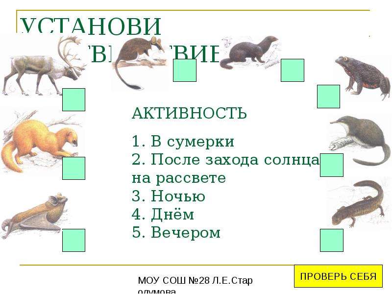 Установите соответствие животных. 9 Зверей красной книги Кировской области. Красная книга Кировской области ребусы. Тест по страницам красной книги с ответами для 4. Проверочная работа красная книга звери серая страница.