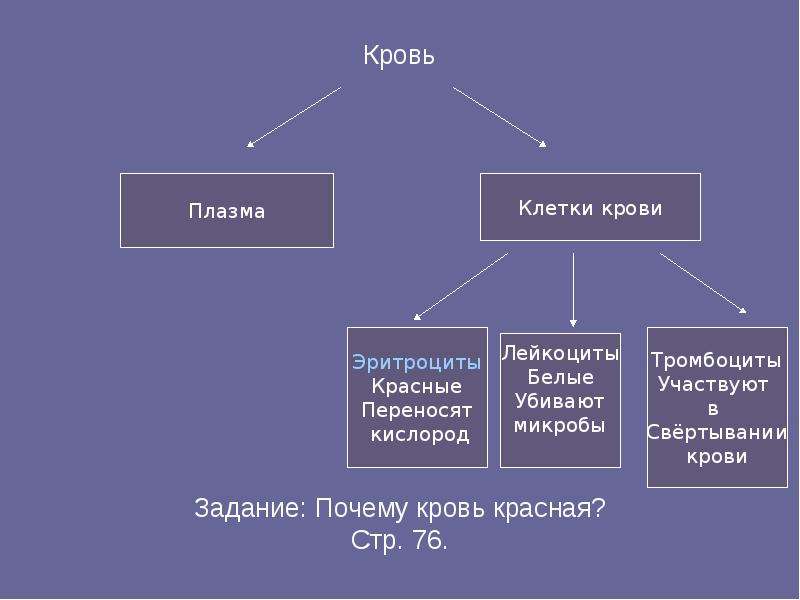 В организме животных преобладают