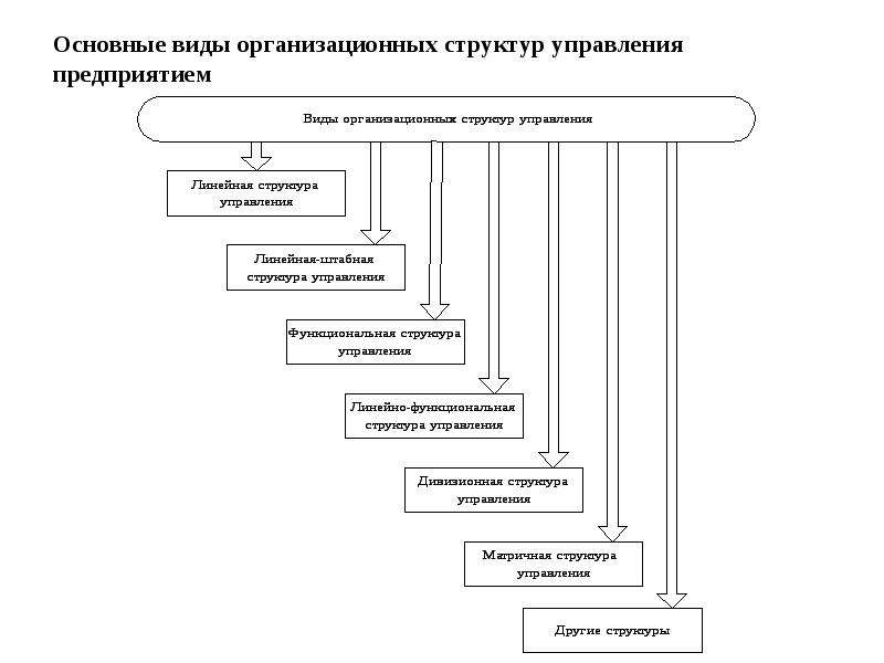 Презентация структуры предприятия